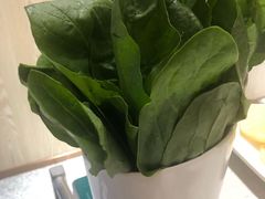 -古乐牛香·鲜牛肉牛杂火锅(新区店)