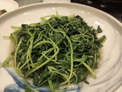 -一品粤珍轩(吴中路店)