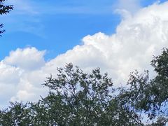 -青藏高原野生动物园