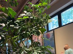 -Wagas沃歌斯(北京君太百货店)