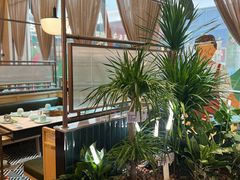 -润园四季椰子鸡火锅(南山海岸城店)