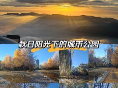 -玲珑塔公园