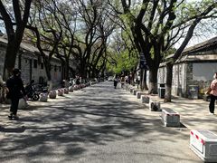 -北京国子监胡同