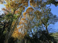 -西安市长乐公园