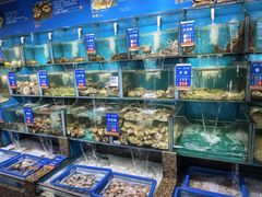 -海味当家·蒸锅海鲜(星海公园店)
