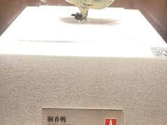 -四川宋瓷博物馆