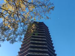 -玲珑塔公园