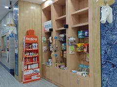 -瑞派名望志远动物医院·猫科·內科·异宠专科(直港大道店)