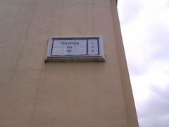 -柠檬车露(卖草地店)