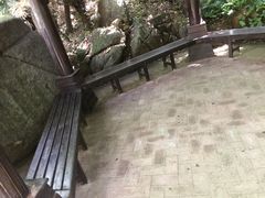 -呀诺达热带雨林