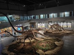 -自贡恐龙博物馆