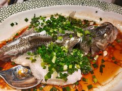 -佬肥猫·浙江乡村菜(国华广场店)