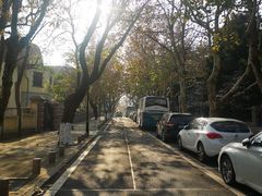 -八大关景区