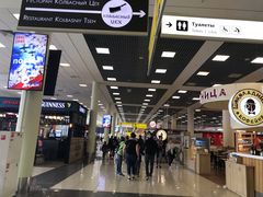 -谢列梅捷沃国际机场