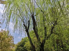 -杭州师范大学(下沙校区)