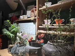 -樹下遇见树·咖啡