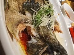 清蒸石斑鱼-鱼乐轩·俄罗斯海鲜直供餐厅(群力店)