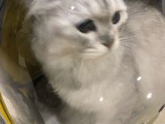 -蛙麻蛙辣炭火蛙锅(南环大街店)