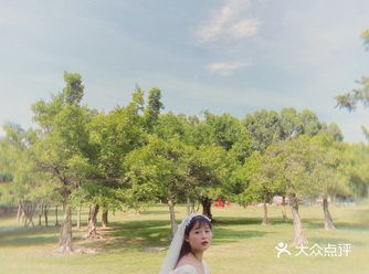 地理位置:南国热带花园 野餐必备：肯德基、披萨、气泡