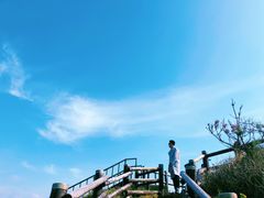 -涉地可支