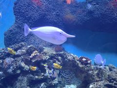 -横店影视城梦幻谷园区