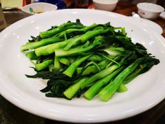 -老乡村美食农庄
