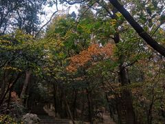 -紫金山山顶公园