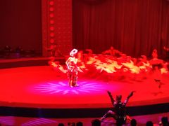 -珠海横琴长隆《卡卡虎奇遇记》