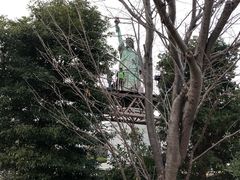 -台场海滨公园船码头