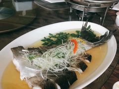 -莆鑫海鲜城(浏河店)