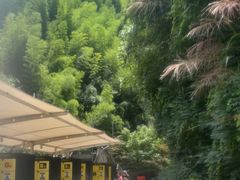 -将军关探险漂流