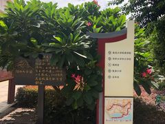 -集美学村