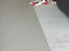 -全心全意连锁动物医院·微创中心·内科急重症·心脏专科(丰管路店)