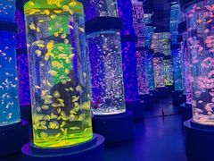 -石林冰雪海洋世界