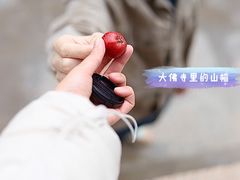 -张掖大佛寺景区