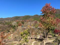 -塔川景区