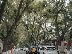 -北京国子监胡同
