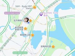 -新加坡瑞士史丹福酒店