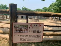 -西安秦岭野生动物园