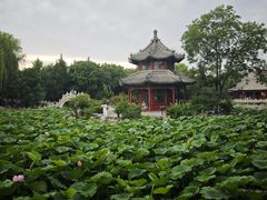 -莲池书院博物馆