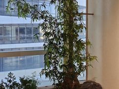 -Fun Job Art 零基础油画国画DIY画室(望京店)