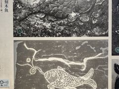 -白鹤梁水下博物馆