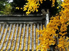 -潭柘寺景区