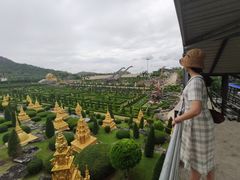 -东芭乐园