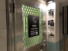 -有喵·猫咖·狗咖·30几只猫10只小狗(岗厦店)