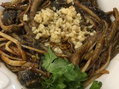 响油鳝糊-玉华台饭庄(裕中西里小区店)