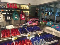 -猫咪博物馆(顶澳仔猫街店)