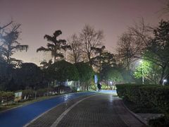 -龙头寺公园
