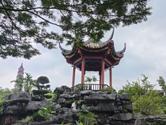 -顺峰山公园
