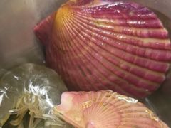 -四囍码头海鲜烧烤自助火锅(外滩南京东路悦荟广场店)